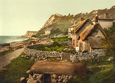 Scogliere, Shanklin, IOW, pub. c.1890 - 1900 da English Photographer